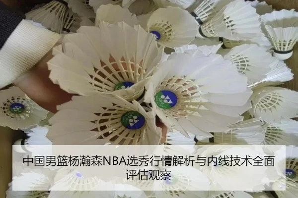 中国男篮杨瀚森NBA选秀行情解析与内线技术全面评估观察