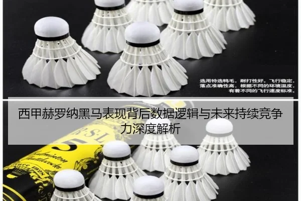西甲赫罗纳黑马表现背后数据逻辑与未来持续竞争力深度解析