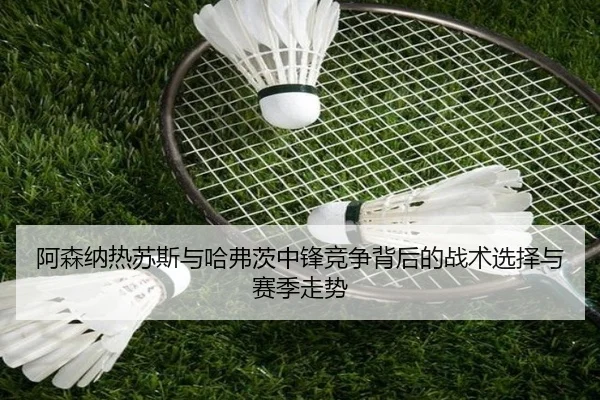 阿森纳热苏斯与哈弗茨中锋竞争背后的战术选择与赛季走势 - c7c7